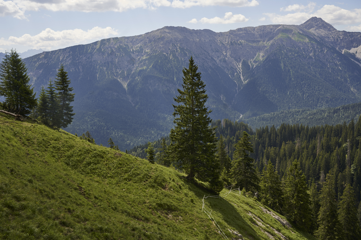 Berglandschaft